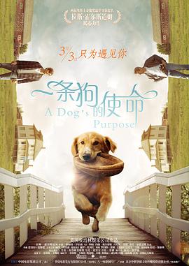 99热这里都是国产精品