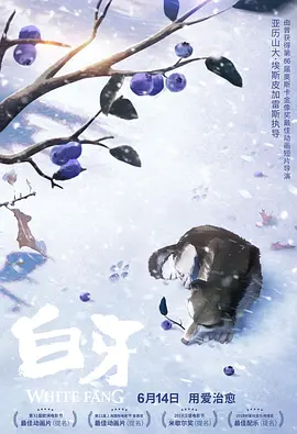 一区二区视频在线观看免费的