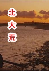免费在线国产视频