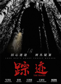 日韩午夜视频在线观看