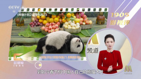 男同gay网站